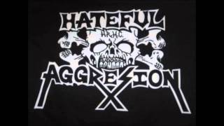 Hateful Aggresion-Impossibility of Reason