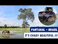 Overlanding South America Chapter 1 Pantanal Brazil