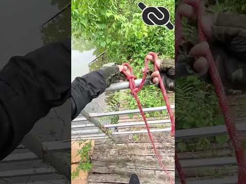 One of the WORLD’S quick release Knot #knotshort