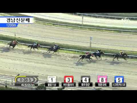 2010 Gyeongnam Sinmun Cup - Bulkkot Gisang