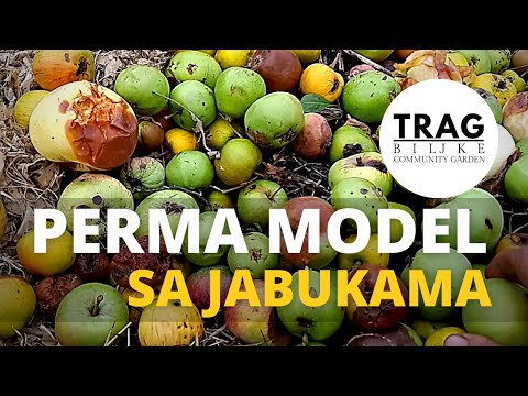WHAT TO DO WITH FALLEN APPLES - PERMA MODEL (2021) [TRACE OF THE PLANT]