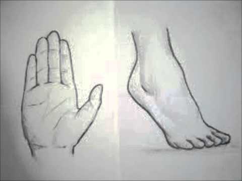 Mains et pieds (Marie-Claude Clerval)