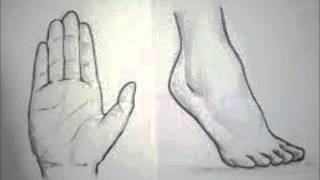 Mains et pieds (Marie-Claude Clerval)