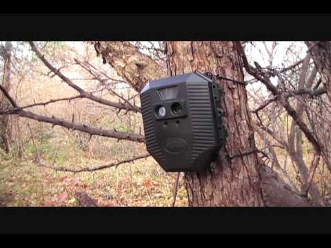 Wildgame Innovations Digital Game Scouting Camera.wmv