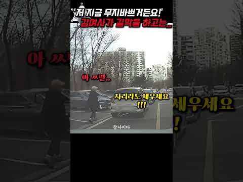 '저 지금 무지 바뻐요!!' 김여사가 길막 주차 후 한다는 소리가..