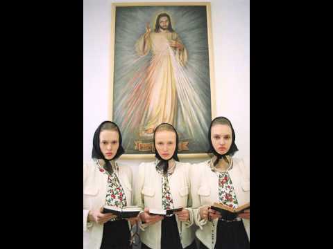 PWHY - The McKibbin Files 01