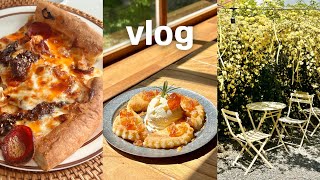 Daily vlog of living alone in Jeju Island | Yogurt ice cream | Rose Cafe | Making lighting