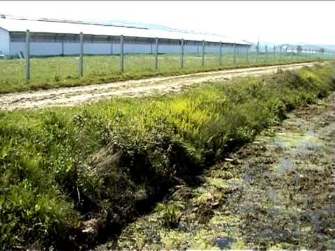 10 VITE PERBALLJE ME DREJTESINE, PER TE MBROJTUR JETEN E BANOREVE TE BUSHATIT DHE MJEDISIN