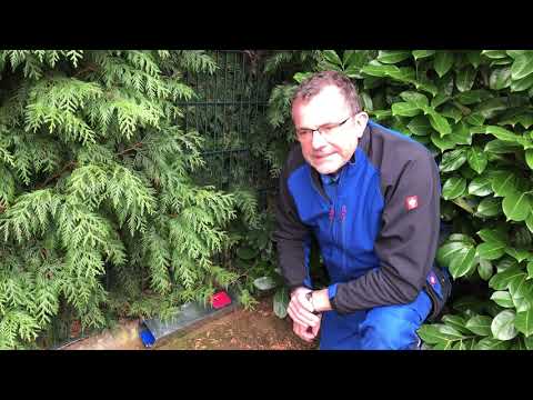 Interview mit Ralf-Peter Loewen zur Bekämpfung von Ratten