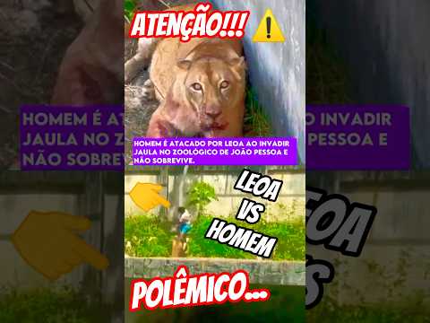 Leoa vs homem ⚠️💀 #shorts #youtbe #joaopessoa #paraiba #leoa #zoológico #joaopessoaparaiba #brasil