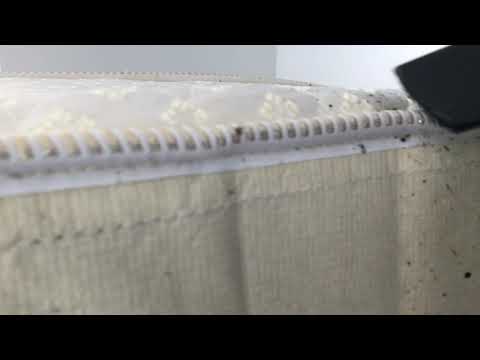 Hefty Bed Bug Removal in Eatontown, NJ