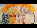 Winnie The Pooh Blackberry Surprise Read Aloud