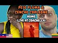 REACTION TO Peso Pluma & Cencho Corleone - HUMO (Live at Coachella 2024) | FIRST TIME WATCHING