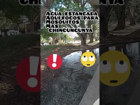 Así estan las calles de micro 2 en  Nuevitas ,Camagüey,Cuba .#Cuba #viralvideo  #cubanosporelmundo 