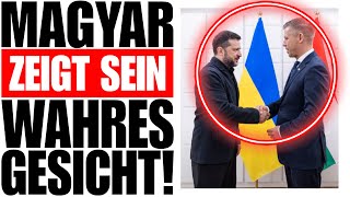 Seiten Komplett Gewechselt❗️