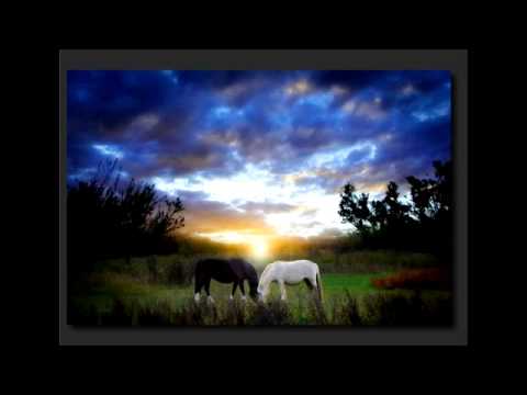 Sergio Vargas - que bueno verte -