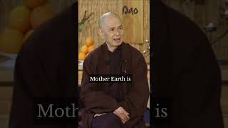 Walking on the Most Beautiful Planet | Thich Nhat Hanh | #shorts #mindfulness