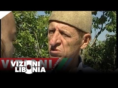 Don me ju ik qika e Mahmutoviteve