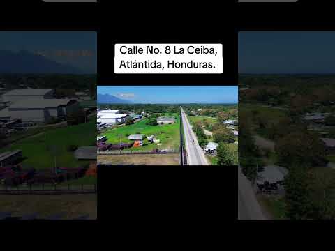 Calle No. 8 La Ceiba, Atlántida, Honduras.