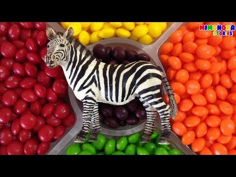 Animales de la Sabana 🐘  y colores para niños ✨  Savanna Animals for kids - Mimonona Stories Video