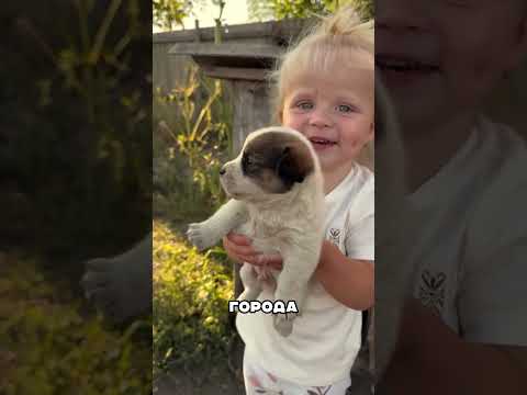 ‼️ОСТОРОЖНО‼️ САМОЕ МИЛОЕ ВИДЕО  🥹