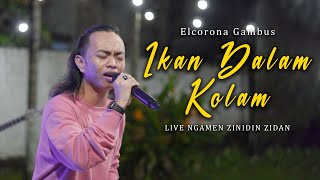 Download lagu IKAN DALAM KOLAM ELCORONA GAMBUS ZINIDIN ZIDAN... mp3