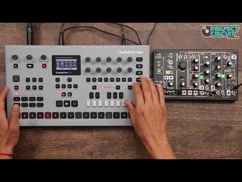 Elektron Analog Four MKII (Black) image 4