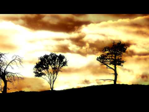 Zé Dos Frangos - Time Frets