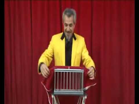 Silver Dove and Rabbit Cage by Tora Magic