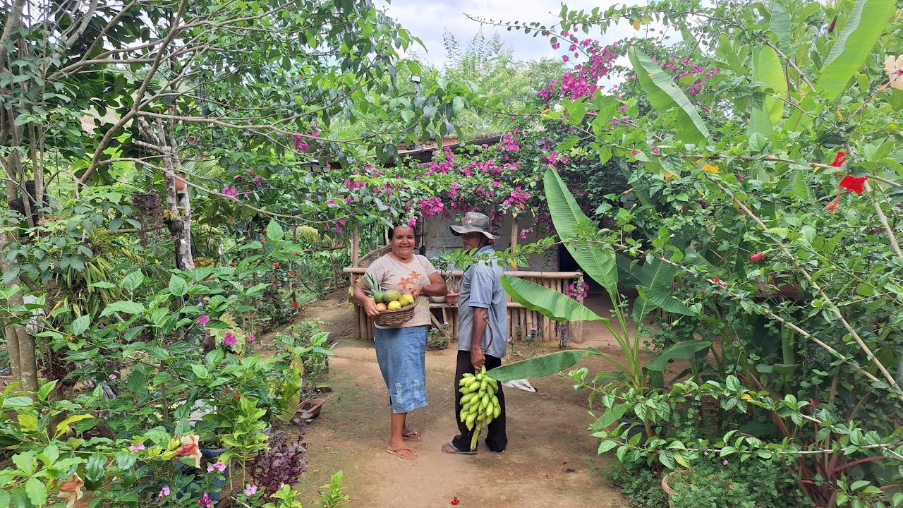 Começamos um sitio do zero hoje temos um sitio sustentável Ana Paula Alagoana