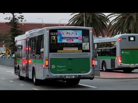 Transperth TP1229 Mercedes-Benz O405NH Departing Fremantle Station