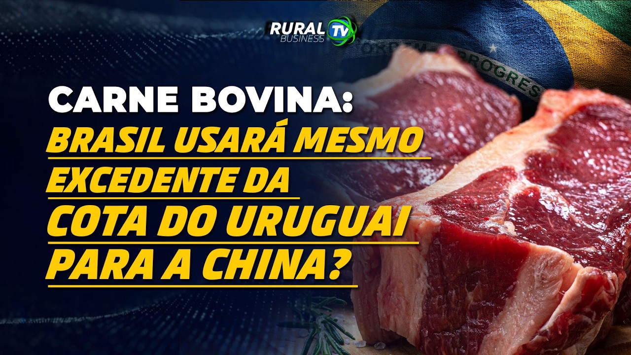 CARNE BOVINA: BRASIL USARÁ MESMO EXCEDENTE DA COTA DO URUGUAI PARA A CHINA?