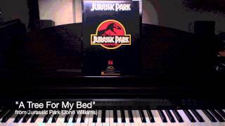 "A Tree For My Bed" from Jurassic Park (John Williams) - solo piano
