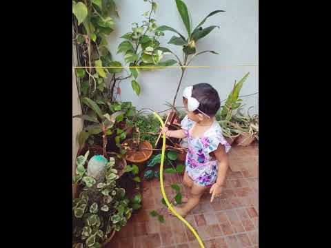 Watering Plants ☘️ Favourite Activity Nature lover 💦🪴#trendingshorts #plants #summer #reels