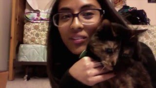 The Old Gospel Choir - Modern Baseball (cover)