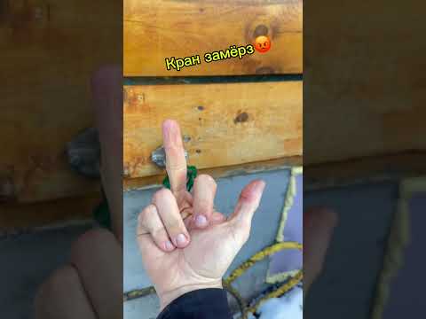 Полив травы из речки #индор#выращиваниевтеплице#конопля#полив