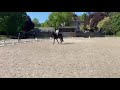 Ponette NFC 4 ans hors taille