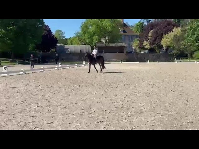 Ponette NFC 4 ans hors taille