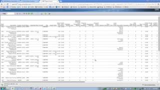 Maximo 76   Ad Hoc Reporting   Content Tab   Part 2