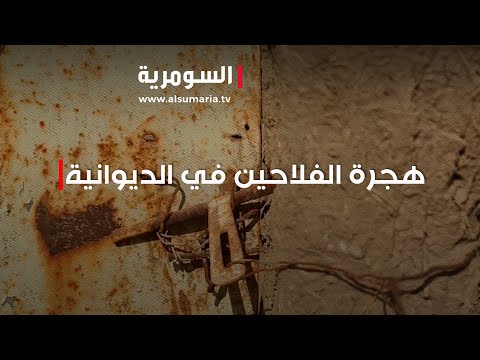 شاهد بالفيديو.. التجاوزات على الحصص المائية تدفع فلاحي الديوانية إلى الهجرة!