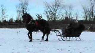 Christmas Sleigh Ride (December 25, 2010)