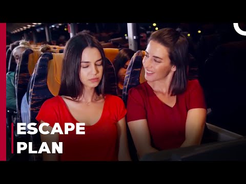 We Need To Leave the City - Can't Stop Loving You