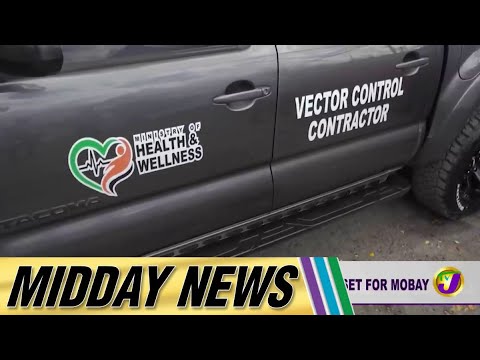 Poor State of Local Courts Concerns Attorney Group | Midday News