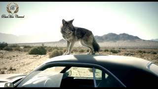 Ry Cooder – Dior wild man (Full Official Track) Johnny Depp DIOR "Homme Sauvage" Advertising