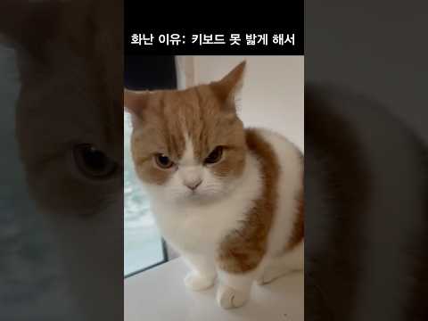 인스타 1억뷰 ‘그’영상