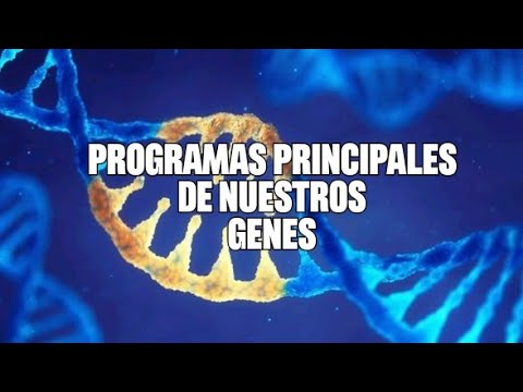 CAP 10 - LA PROGRAMACIÓN DE NUESTROS GENES