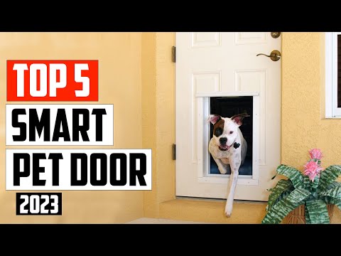 Top 5 Best Smart Pet Door For Your Pets In 2023