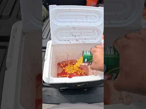 How To Make Cheap Easy Carp Bait Fast #Fishing #Carp #CarpFishing