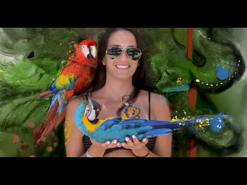 Gomba Jahbari - Como Yo