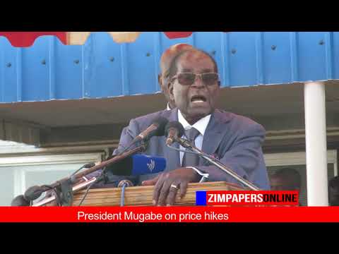 President Mugabe on price hikes